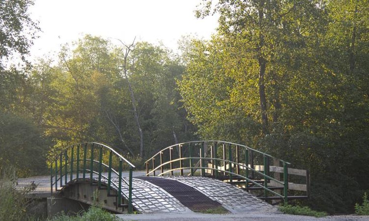 Вельга Парк