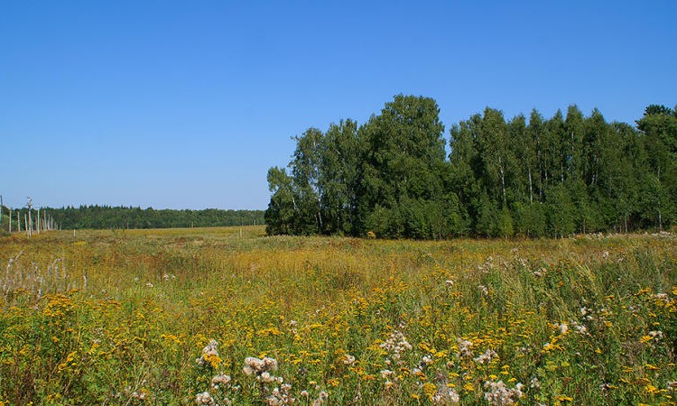 Журавлево