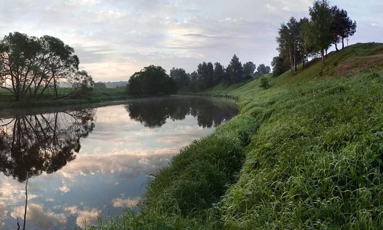 Между лесом и рекой