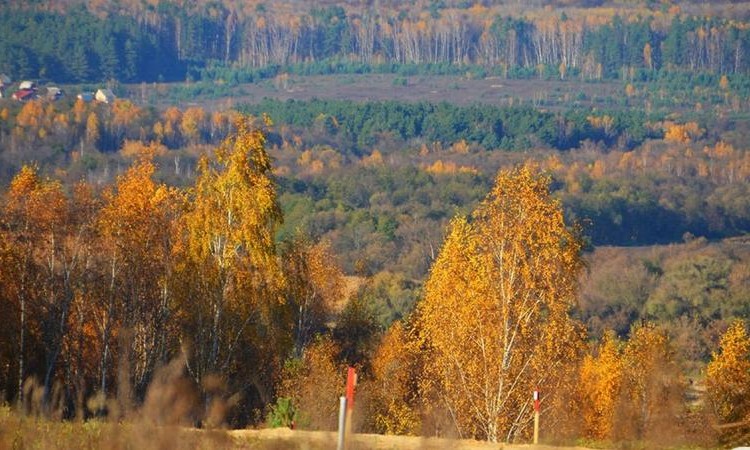 Окские сады