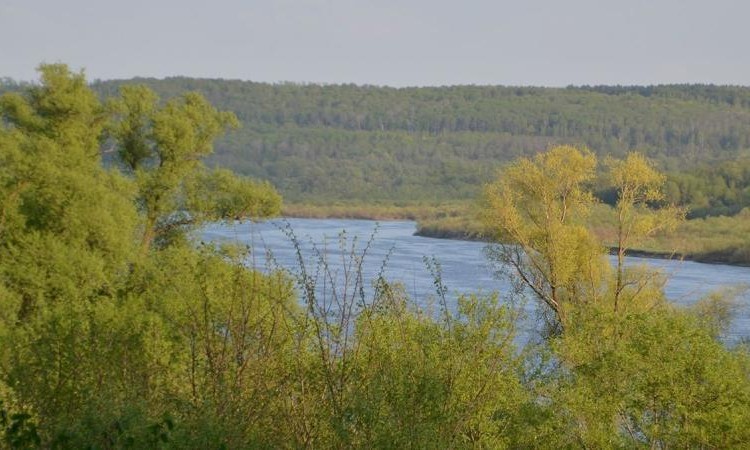 Окские сады