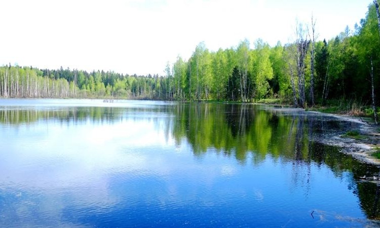 Хлопенево-Ленд